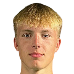 Ноис Витис Аудинис