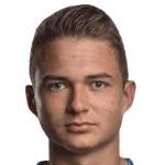 Никола Чавлина