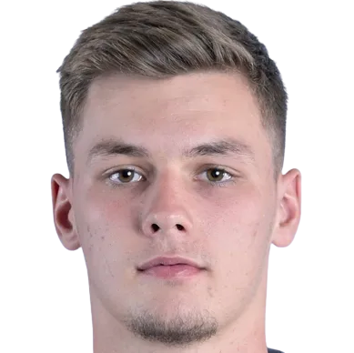 Н. Додейнье