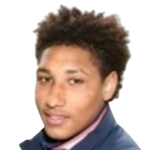 Н. Лебретон