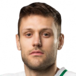 Н. Любисавлевич