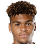 Н. Майока-Тика