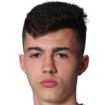 Никола Митулькич