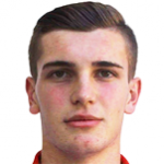 Н. Мулахусейнович