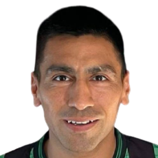 Н. Пелайтай