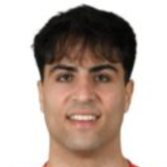 Н. Постильоне