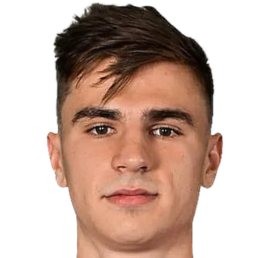 Н. Раздорских