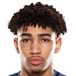 Нейтан-Дилан Салиба