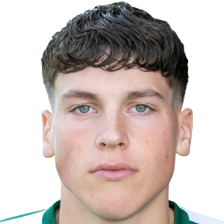 Нандо Вердони