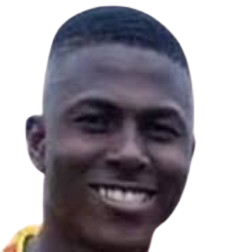 Н. Вильяреаль