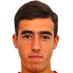 Н. Вуянович