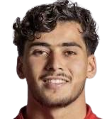 Н. Бушентуф