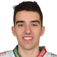 Доминик Nemecek