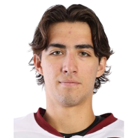 Никита Нестеренко