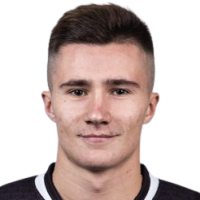 Григорий Несветаев