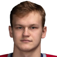 Степан Никулин