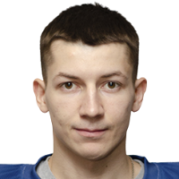 Владислав Никулин