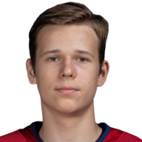 Николай Никульшин