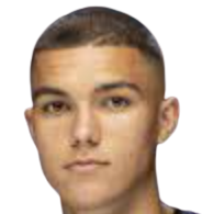 Н. Долленмайер