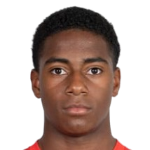 Оуэн Паннефлек