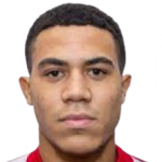 Престли Тайлер Хегинботтом Фаркухарсон