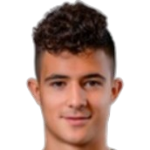 Павле Михайлович