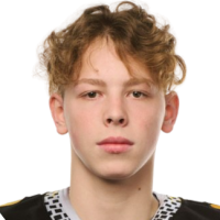 Виталий Пестерев