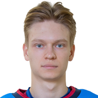 Никита Подлягин