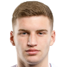 Р. Брайкович
