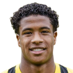 Райан Фламинго