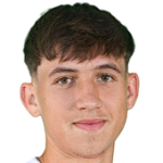 Р. Сэлчеану