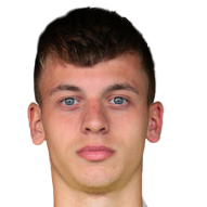 Рой ван Мамерен
