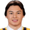 Ryker Ли
