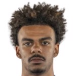 Ренату Вейга