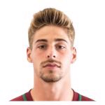 Руй Педро Рибейро Фернандеш Дуарте Гомеш