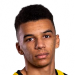 Руй Модешту