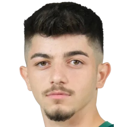 Шахин Дик