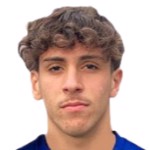 С. Леонарди