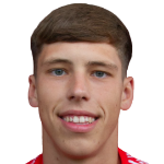 Стефан Негру