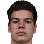 С. Радосавлевич