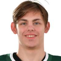 Адель Сафин