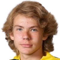 Эмиль Sahlstedt