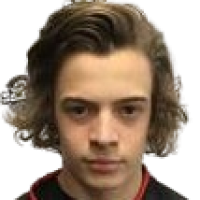 Томмазо Salvai