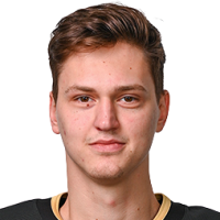 Дмитрий Сергеев