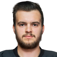 Дмитрий Шешин