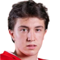 Tit Smolnikar