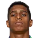 Жоау Виктор де Соуза Менезес