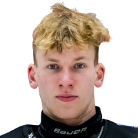 Libor Stuchlik