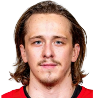 Либор Шулак