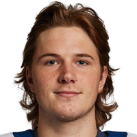 Станислав Свозил